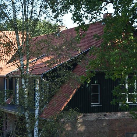 Ferien Hohes Elbufer Schnakenbek Exterior foto